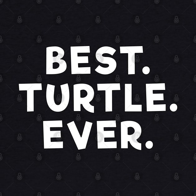 best turtle ever White by Dolta